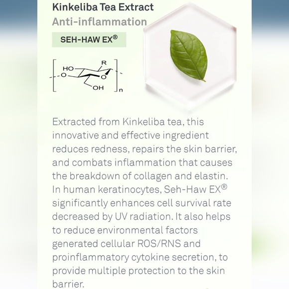 Acaderma's The Oasis Barrier Booster Serum x2 - Picture 10 of 12